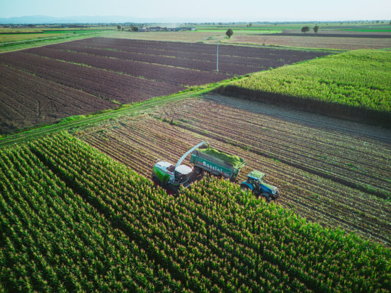 harvest season in Merced and stored produce in a reefer container